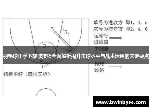 羽毛球正手下旋球技巧全面解析提升击球水平与战术运用的关键要点